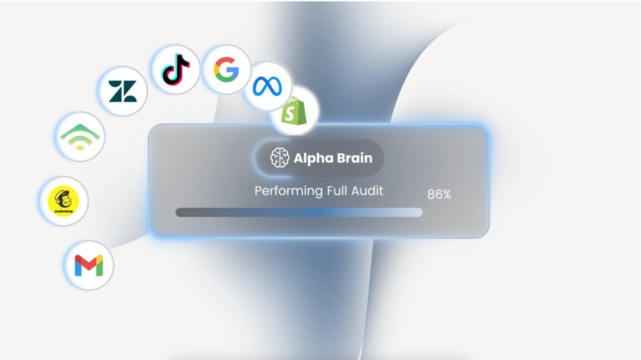 AI revenue audit visualization finding and sealing revenue leaks